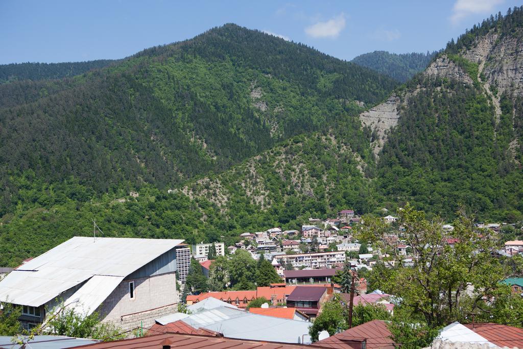 Guest House Salome Borjomi Exterior photo